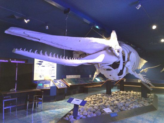 Museum voor Natuurgeschiedenis van Oman